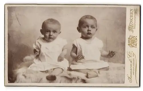 Fotografie Samson & Co., München, Neuhauserstr. 7, Portrait zwei süsse Babys auf einem Fell sitzend