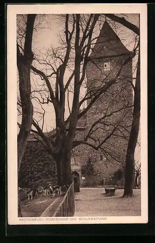 AK Rapperswil, Hirschpark und Schlossturm