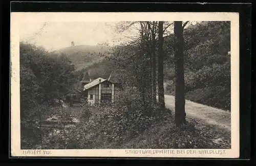 AK Hagen i. W., Stadtwald an der Waldlust