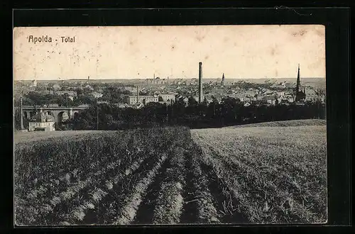 AK Apolda, Totalansicht