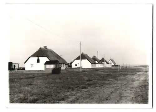 3 Fotografien Ansicht Hiddensee, Katen mit Reetdächern auf der Insel