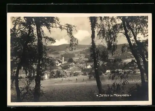 AK St. Veit im Mühlkreis, Totale vom Waldrand aus gesehen