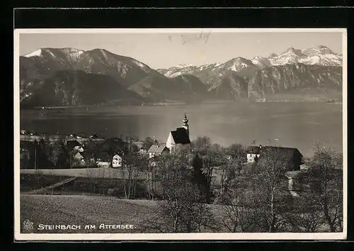 AK Steinbach am Attersee, Totale mit Gebirgswand