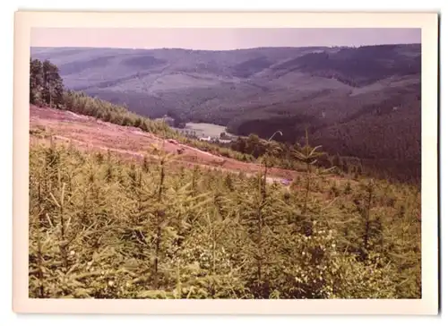 7 Fotografien Ansicht Ohrnbach / Odw., Gasthaus zum Ohrenbachtal, Innenansicht