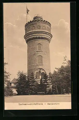 AK Sachsenwald-Hofriede, Blick auf den Bismarckturm