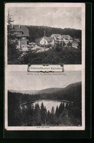 AK Ruhstein, Ortsansicht mit Häusern, Ansich vom Wildsee
