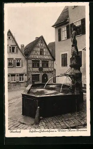 AK Marbach, Schillers Geburtshaus und Wilder-Mann-Brunnen