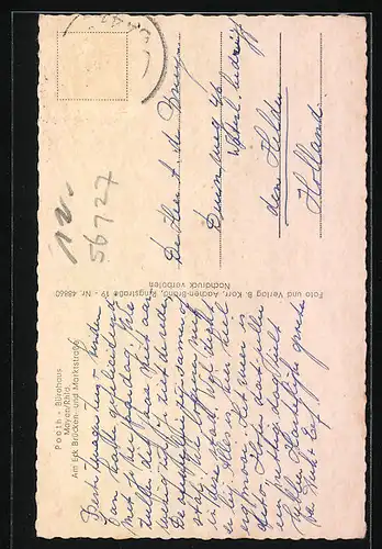 AK Mayen /Eifel, Strassenpartie mit Autos, Rathaus, Kirche