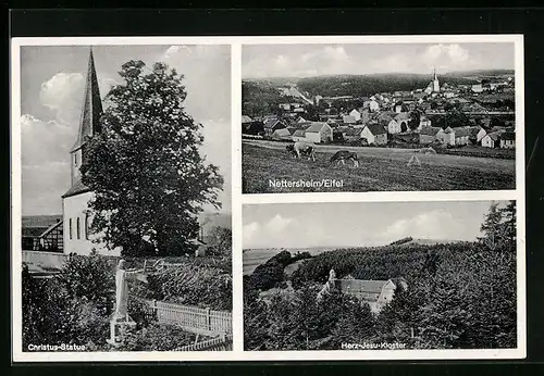 AK Nettersheim /Eifel, Gesamtansicht, Herz-Jesu-Kloster