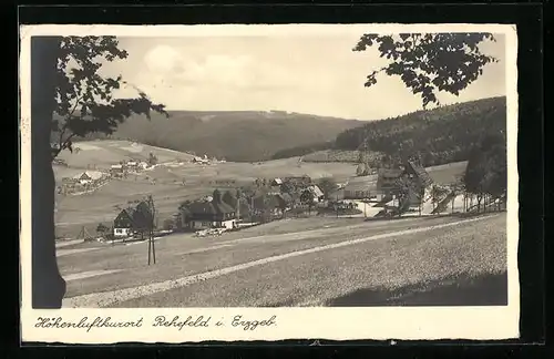 AK Rehefeld i. Erzgeb., Gesamtansicht des Höhenluftkurorts