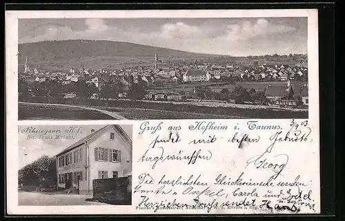 AK Hofheim i. Taunus, Gasthaus Rheingauer Hof, Teilansicht