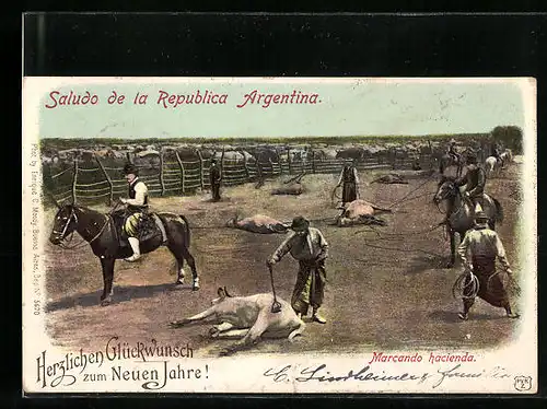 AK Republica Argentina, Marcando hacienda