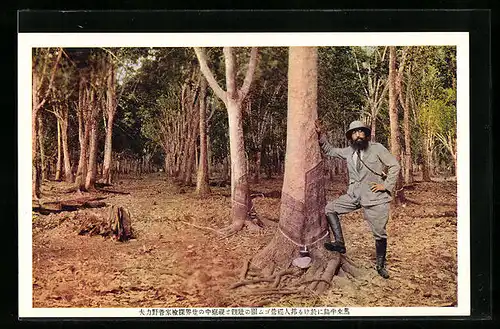 AK Mann posiert neben einem Baum, Baumharz
