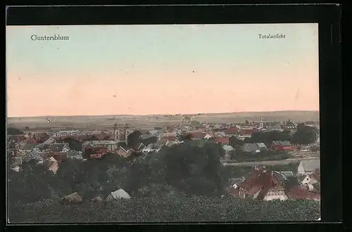 AK Guntersblum, Totalansicht