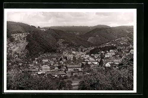 AK Oppenau / Renchtal, Gesamtansicht