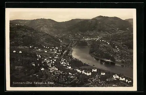 AK Salesel a. Elbe, Totalansicht