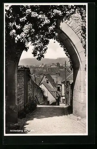 AK Miltenberg a. M., Durchblick auf die Stadt