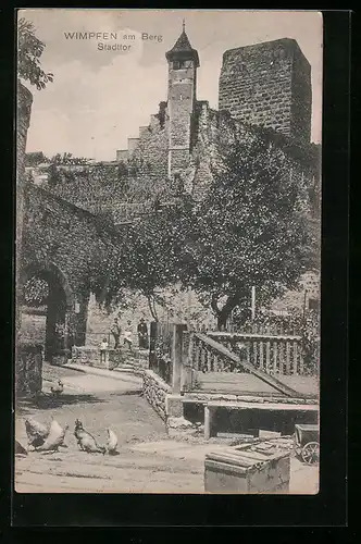 AK Wimpfen am Berg, Partie vor dem Stadttor