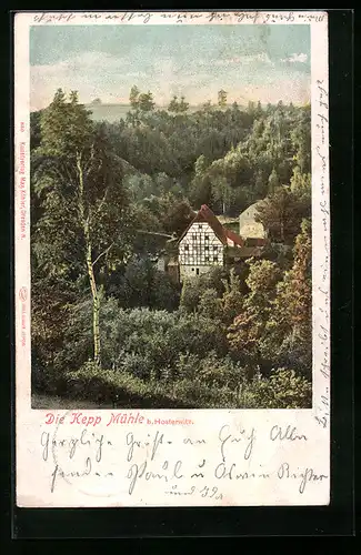 AK Dresden-Hosterwitz, Waldpartie mit Kepp-Mühle