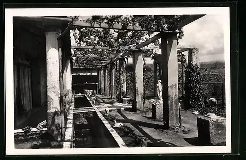 AK Pompei, Casa di Loreio Tiburtino, Nuovi scavi