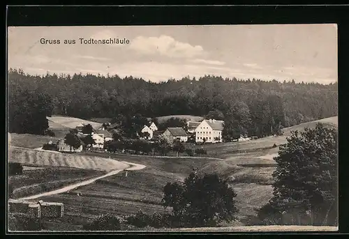 AK Todtenschläule, Ortspartie aus der Vogelschau