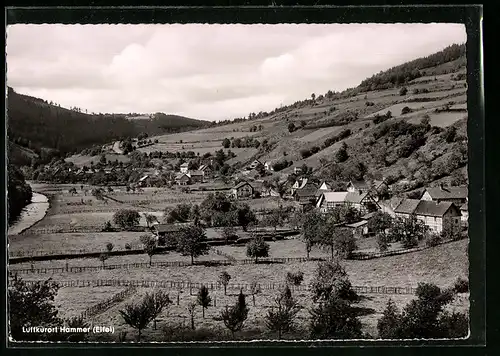 AK Hammer /Eifel, Ortsansicht mit Fachwerkhäusern und Landschaft