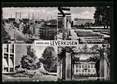 AK Leverkusen, Kölner-Strasse, Löwe an der Poliklinik, Schloss Morsbroich