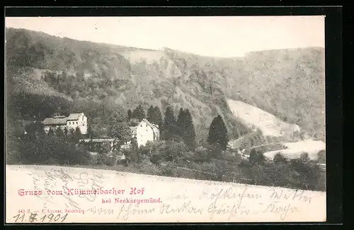 AK Neckargemünd, Kümmelbacher Hof in Waldlandschaft