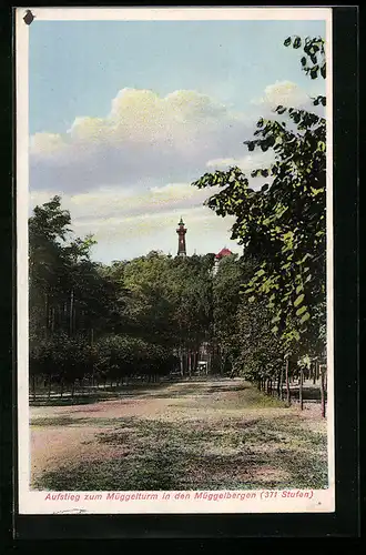 AK Berlin-Köpenick, Aufstieg zum Gasthaus Müggelturm