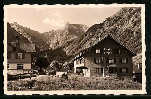 AK Spielmannsau, Hotel-Pension Berghof mit Gebirgspanorama