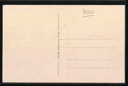 AK Bochum, neues Rathaus, Stadtpark, Stadttheater