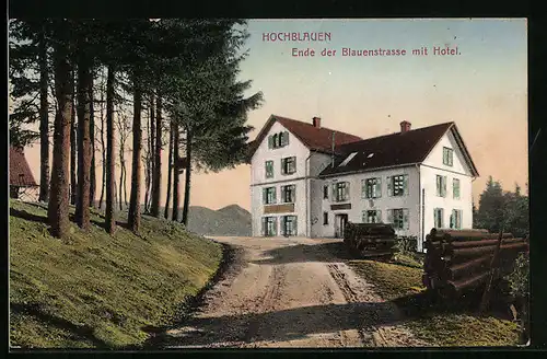 AK Badenweiler /Schwarzwald, Hotel u. Pension Hochblauen