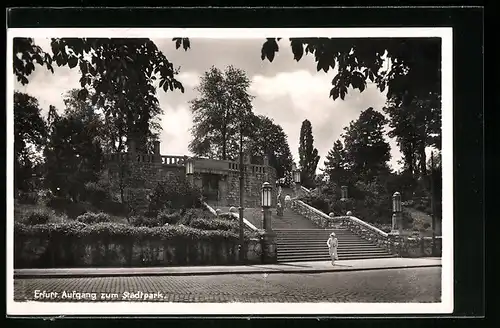 AK Erfurt, Aufgang zum Stadtpark
