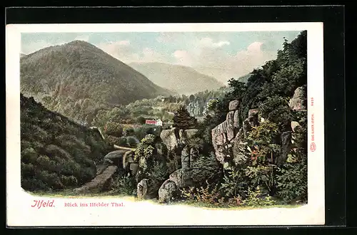 AK Ilfeld /Harz, Haus mit Umgebung in Ilfelder Tal