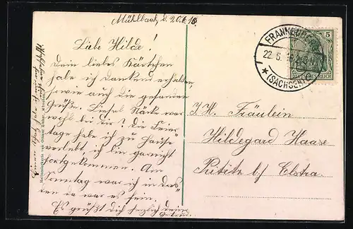 AK Frankenberg i.S., Totalansicht vom Friedenspark mit Siegesdenkmal