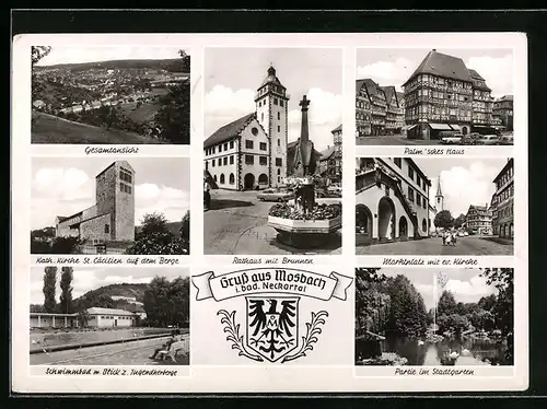 AK Mosbach i. bad. Neckartal, Rathaus mit Brunnen, Partie im Stadtgarten, Marktplatz mit Kirche