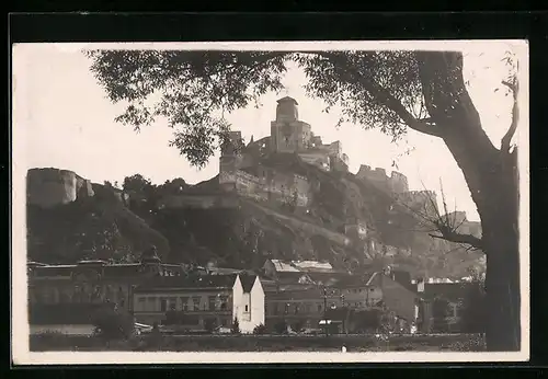 AK Trencin, Blick zur Burg mit Baum