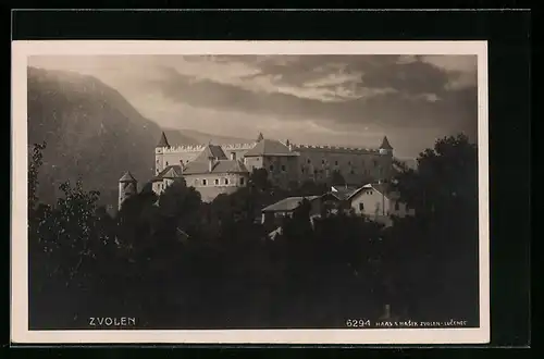 AK Zvolen, Schloss