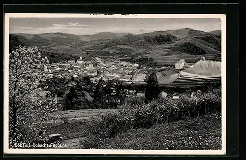 AK Dobsiná, Panorama