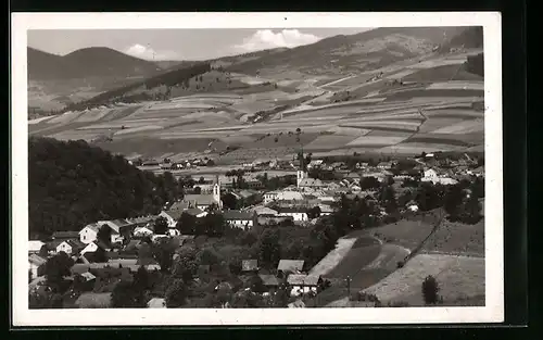 AK Dolný Kubín, Panorama