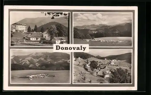 AK Donovaly, Panorama, Ortspartie, Schafherde