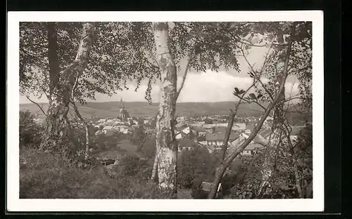 AK Bardejov, Panorama mit Bäumen