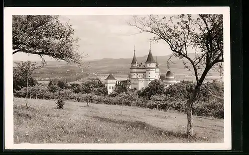 AK Bojnice, Schloss