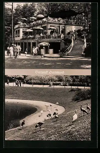 AK Dortmund, Tierpark, Zoo