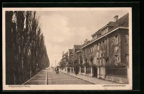 AK Frankenthal, Lambsheimerstrasse mit Radfahrer