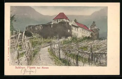 AK Meran, Schloss Planta mit Weg und Bergkulisse