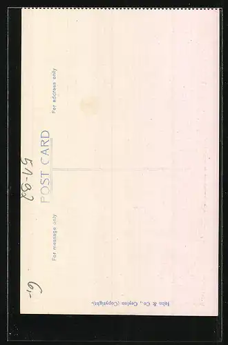 AK Sri Lanka, Schlangebeschwörer bei der Arbeit