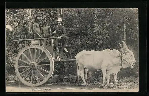 AK Charrette à Boeufs