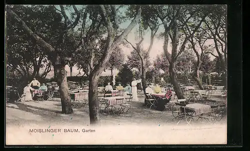 AK Lübeck, Gasthaus Moislinger Baum mit Garten
