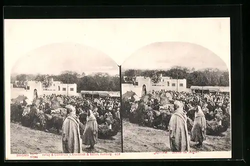 Stereo-AK Afrika, Scene in Algier